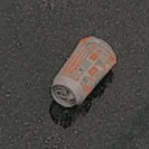 Meet your Posher, Gracie